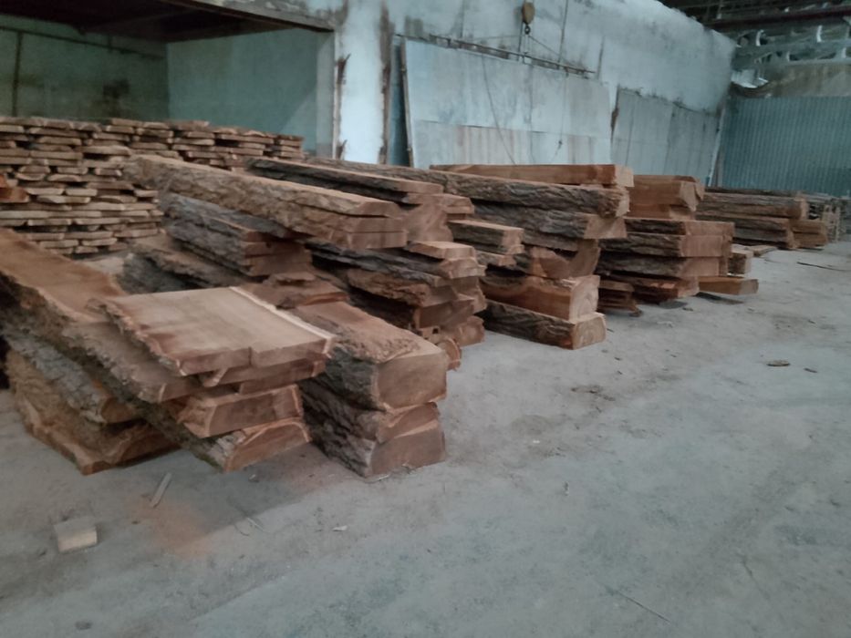 Карагач. Қарағаш