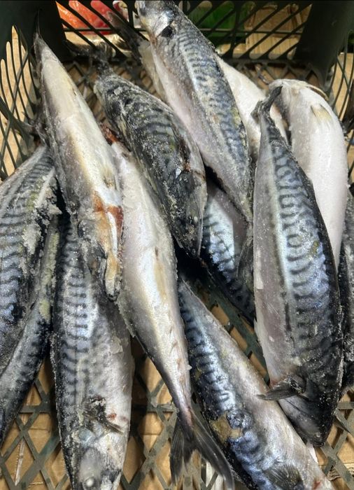 Рыба в ассортименте