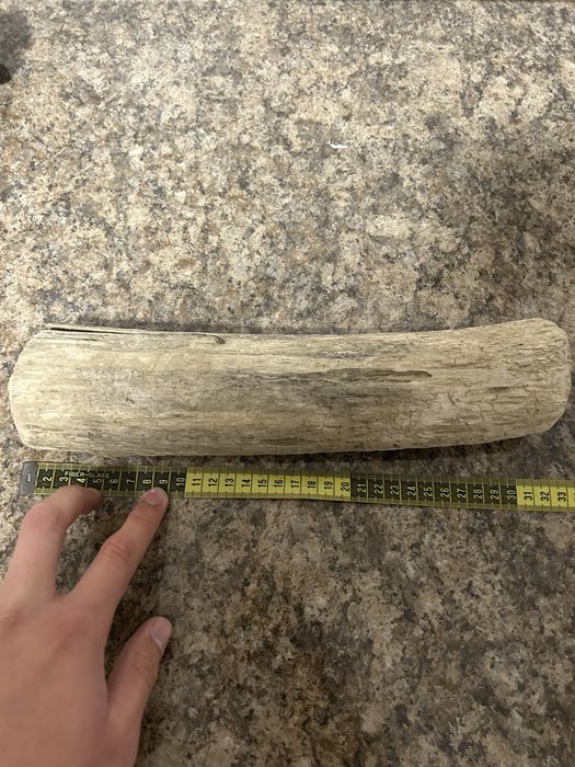 Diferite bucati de lemn decorativ pentru acvariu