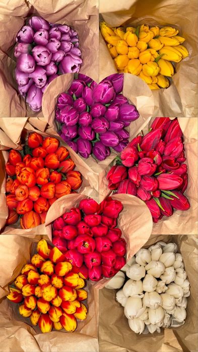 Тюльпаны в Усть-Каменогорске