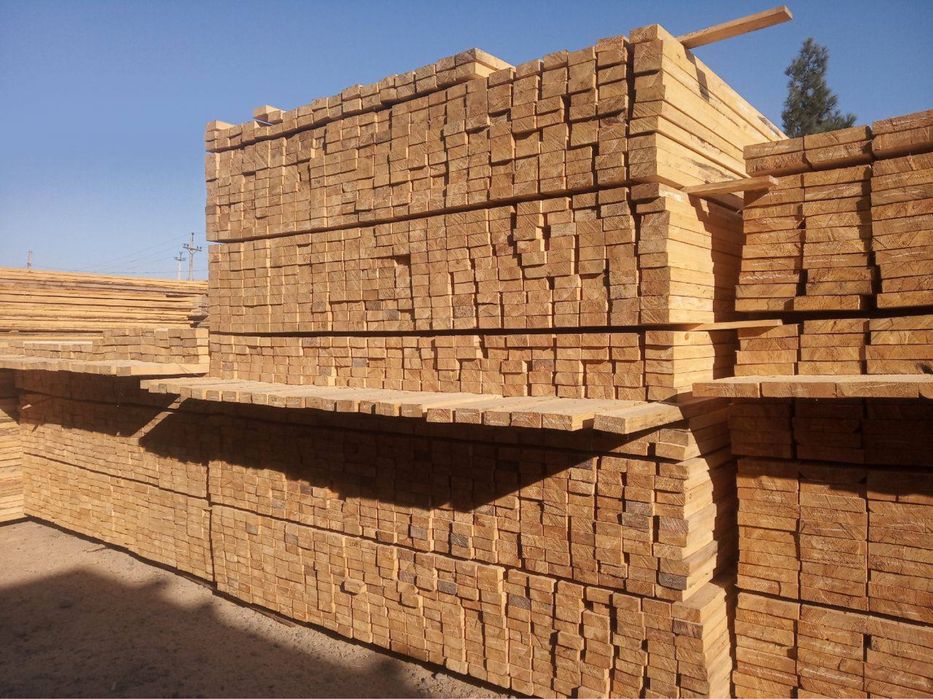 Tahta va tahta barcha turdagi