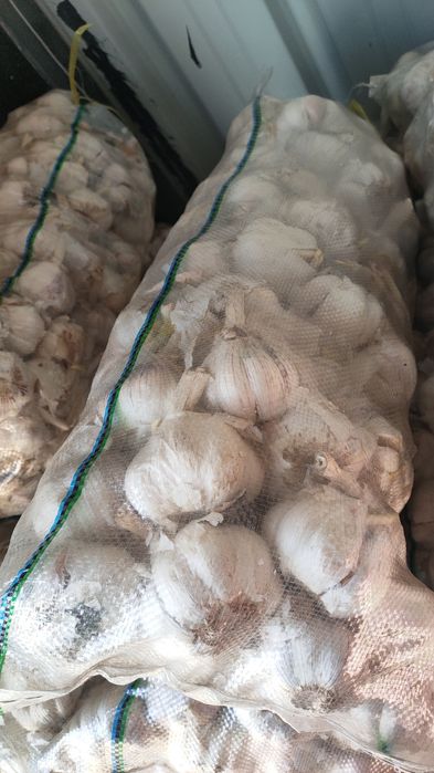 Чеснок для приправы и соусы ресторанов