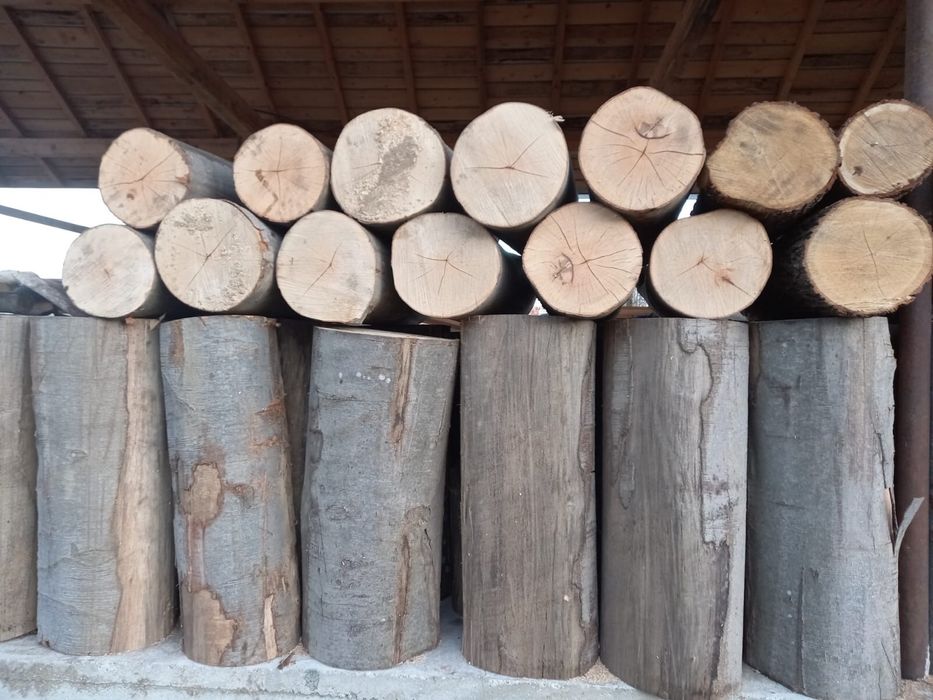 Vand lemne de foc!!!