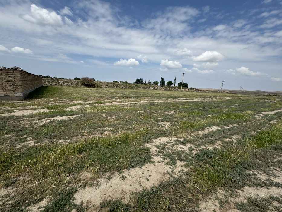 8 сотихли бўш ер майдони сотилади