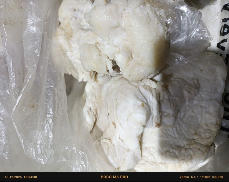 Продам жир конины