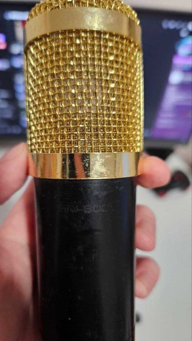 Microphone BM800 XLR