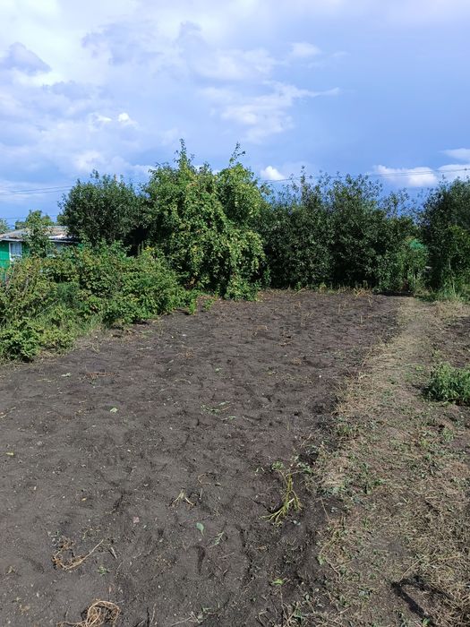 Дача, район Новопавловки