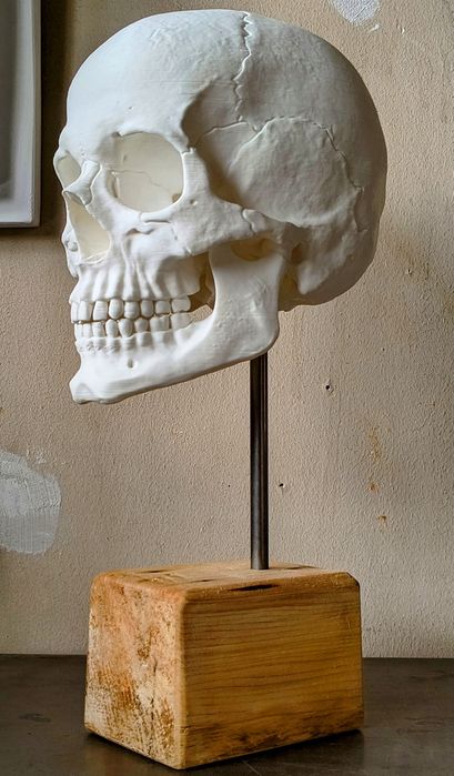 Гипсови Форми за Рисуване / Декорация / Нос / Ухо / Око / Уста / Череп