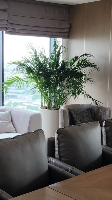 Уход за растениями