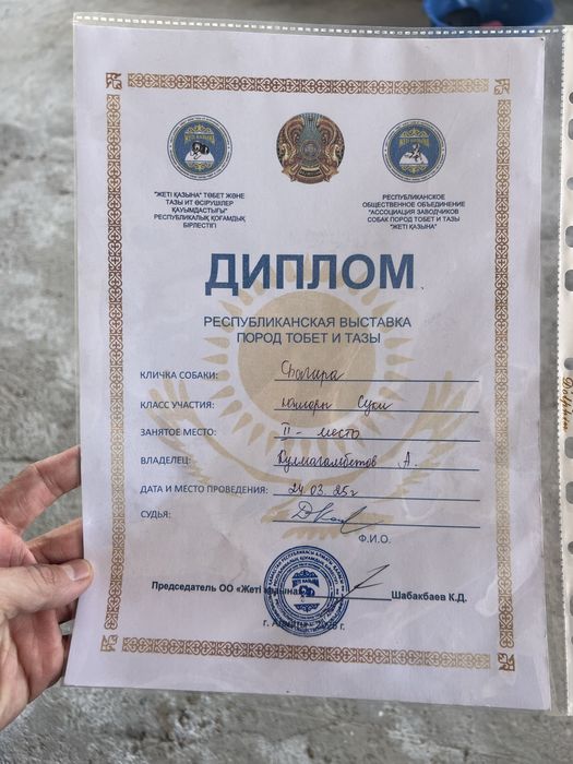 Продается щинки тобета