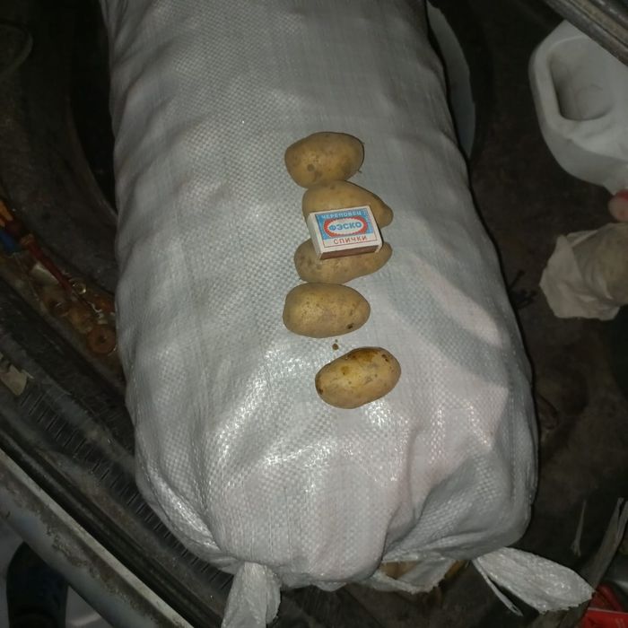 Продам картошку с поля местная