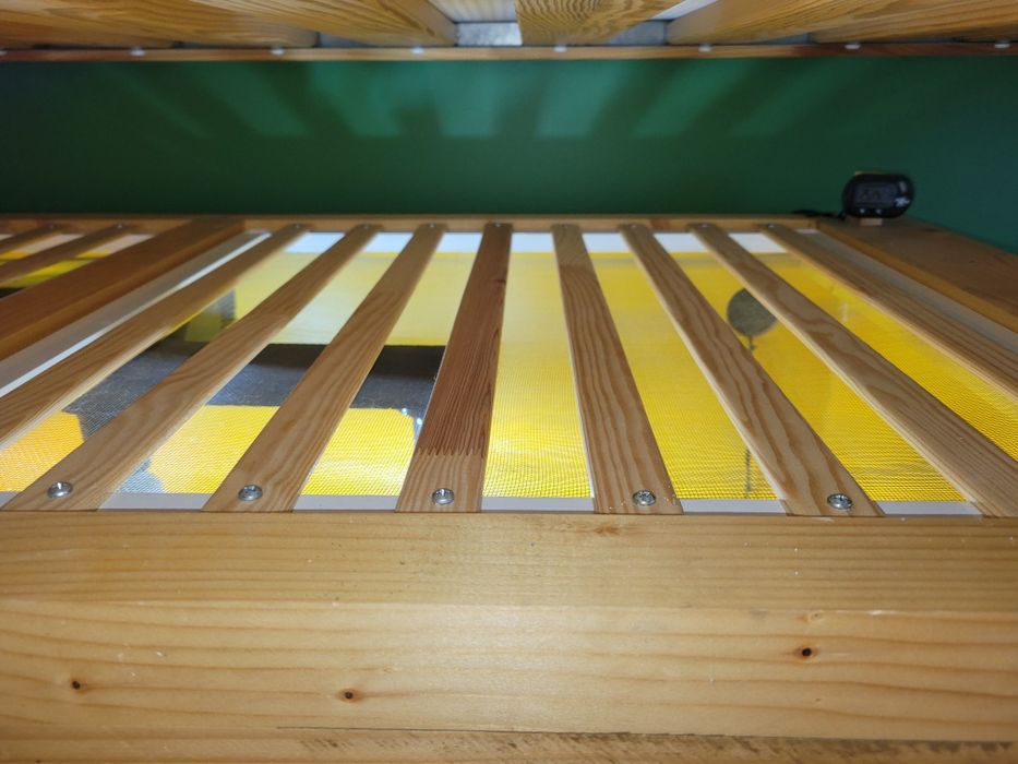 Terariu 120x60x60 din lemn  si Agama cu barba