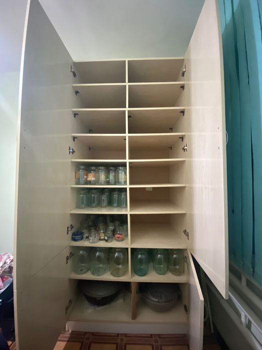 Шкаф       230х100