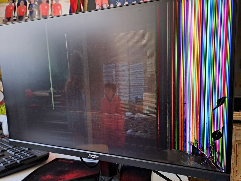 Гейминг монитор Acer QG241Y за части