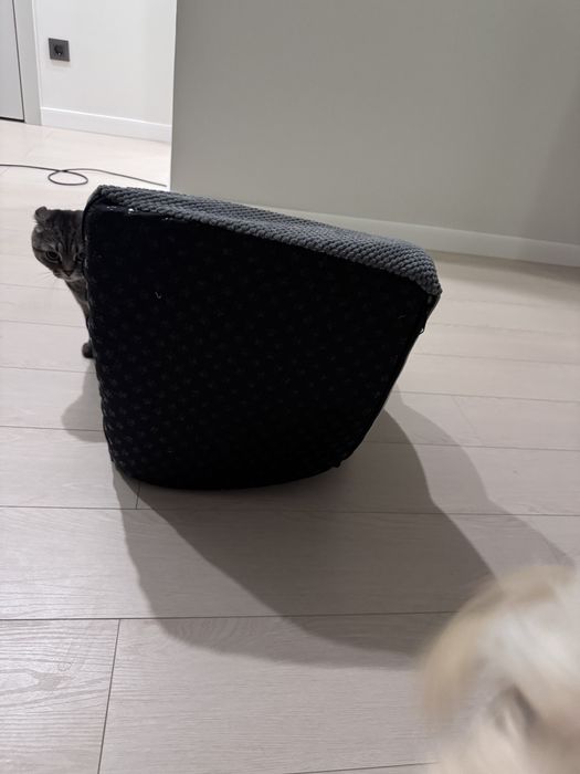 Лестница для собак