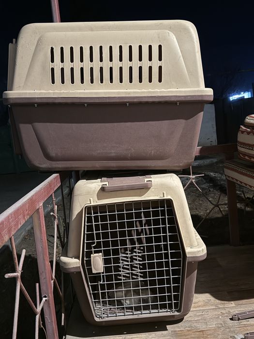 Переноски для животных