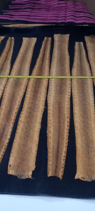 Piele de sarpe natural