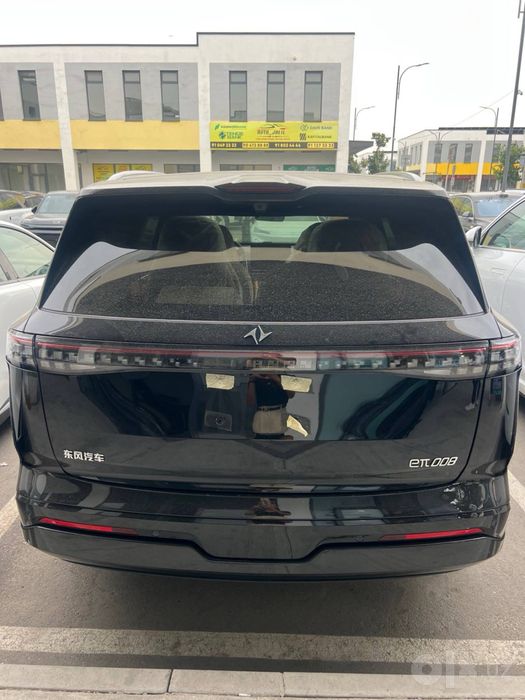 Dongfeng 008 elector