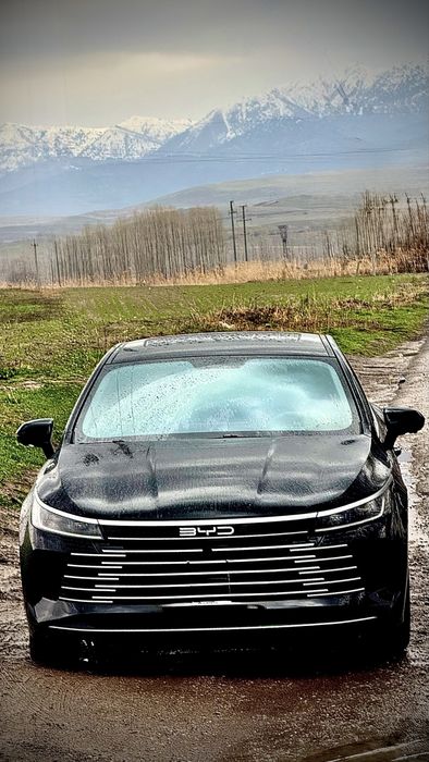 BYD CHAZOR 2-позиция 2024г