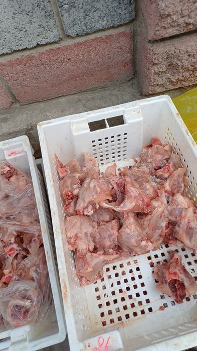 Куриные кости корм  для собак