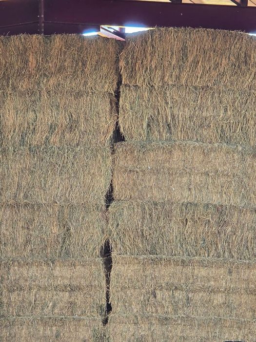 Люцерна четвъртити и рулонни бали доставка за цялата страна