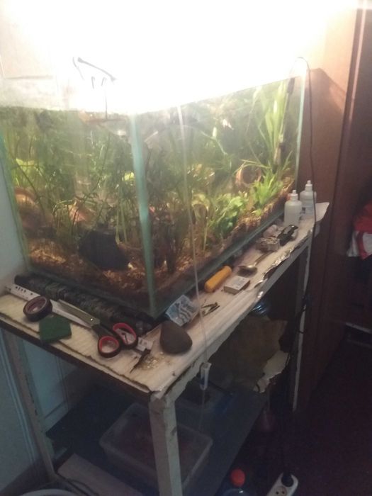 Аквариум с рыбами полный комплект