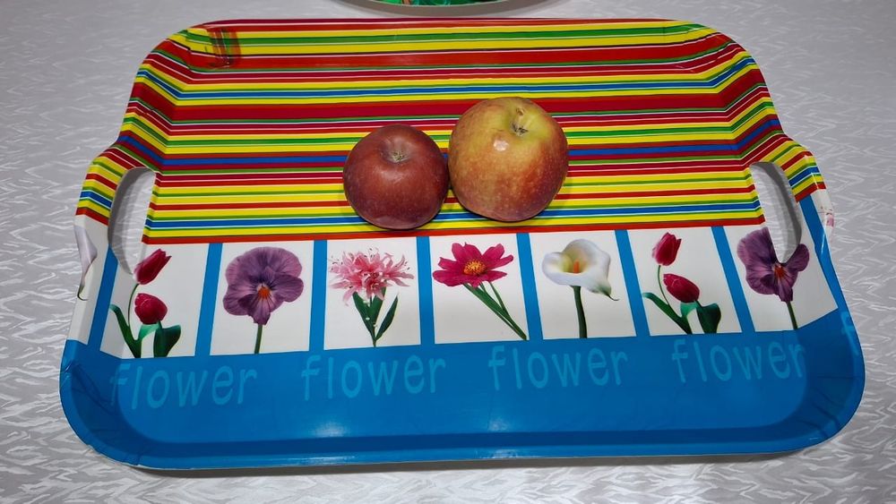 Поднос большой прочный