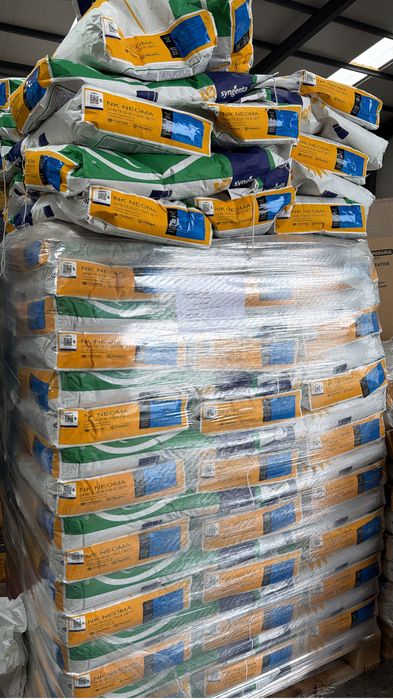 Seminte Porumb si Floare