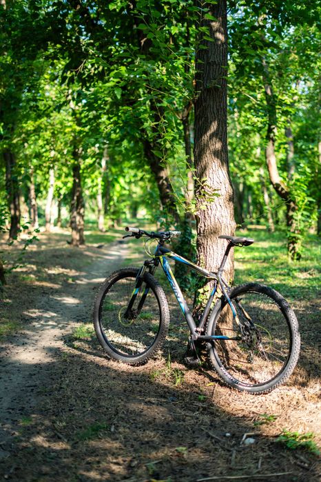 Bicicleta SPRINT Maverick 29"