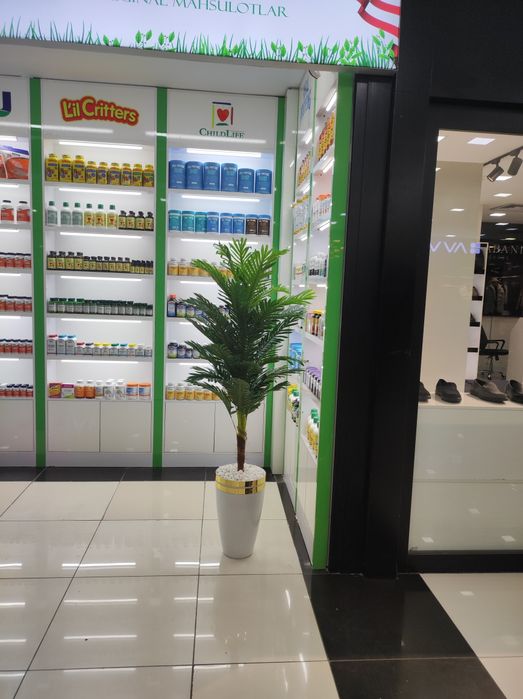 Искусственный  палма