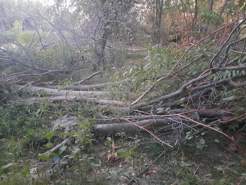 Утин сотилади тут залдори бошка хил кундалар