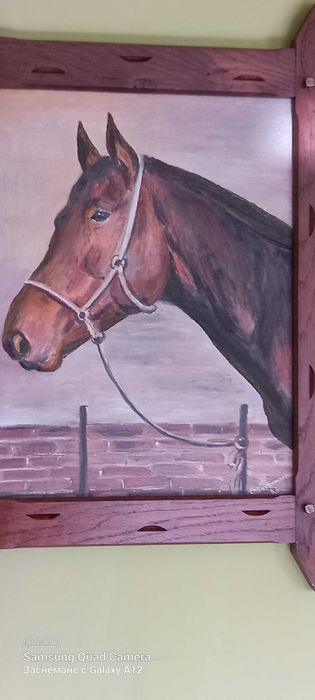 Картина за стена-маслени бои,рамка-дъб