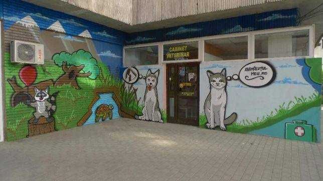 Pereti personalizati / Desene pereti