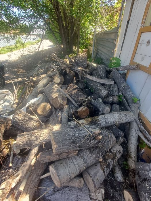 Дрова карагач тополь паллеты