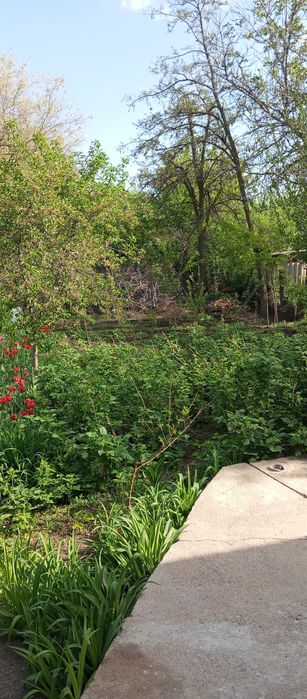 Продам срочно дом