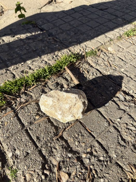 Уникален естествен камък – подходящ за декорация