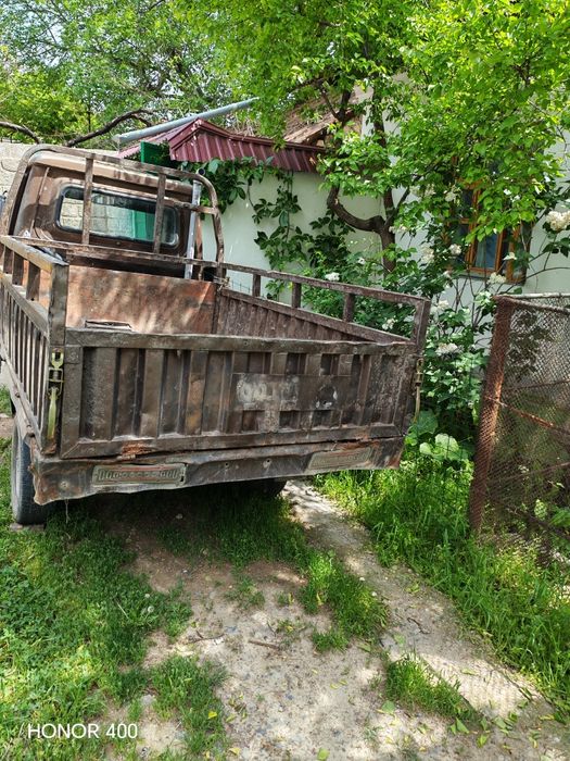 Муравей хитой Дамас матори билан