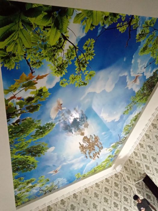 Натяжной потолок  натяжные потолки natyazhnoy potolok 
Жалюзи х