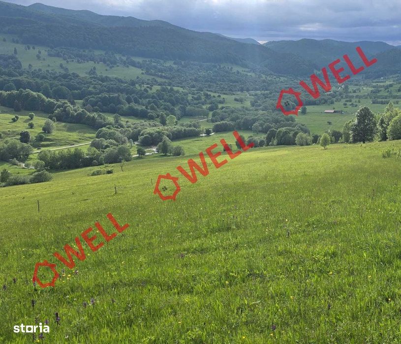 Teren extravilan de vânzare în Vama Buzăului!