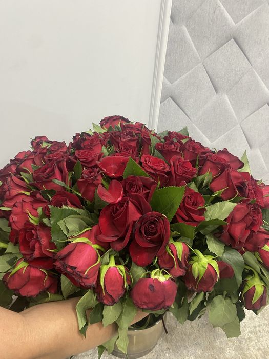 Продам цветы роза