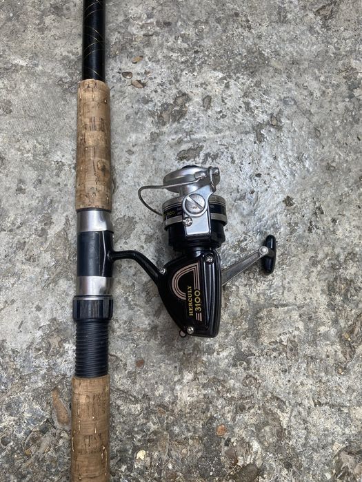 Mulineta cu bat telescopic