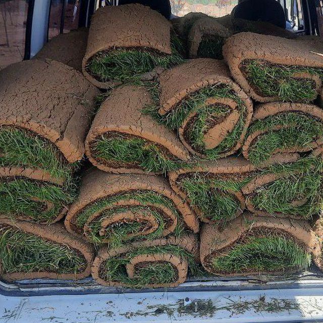 Газон Дания, Оптом ⁸⁸ от 40000 до 45000 сум с поля