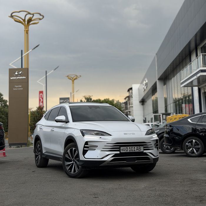 Byd champion 150