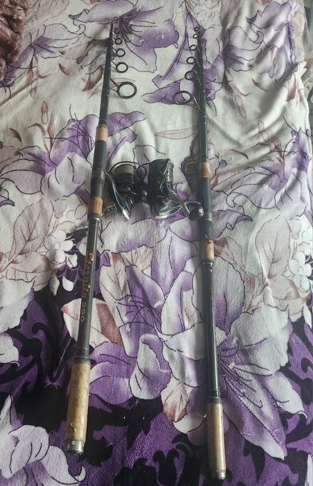 Сигнализатори със стойка две въдици на диамант на един риболов  4 либр