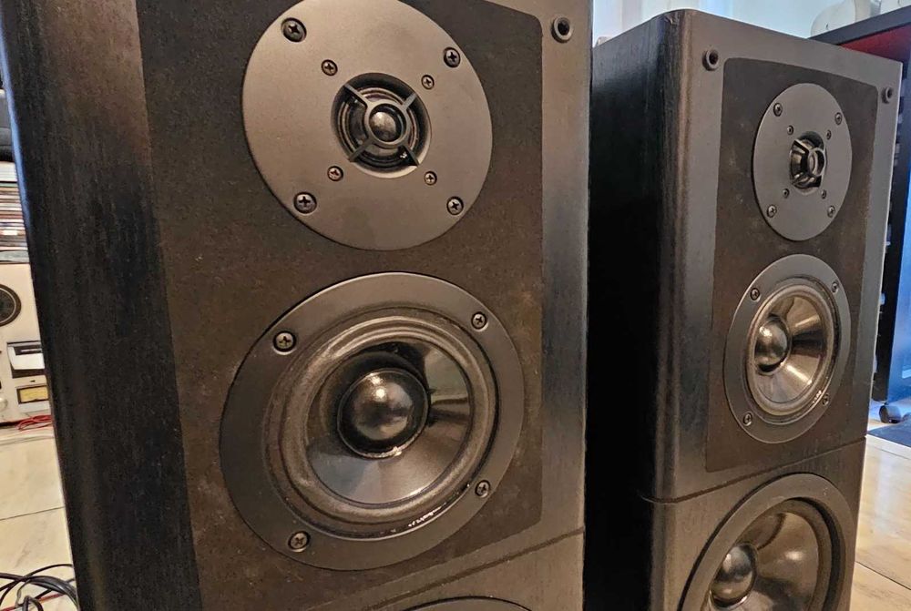 Boxe Technics SB-EX3 Bi-Wire, 3 cai, bass reflex