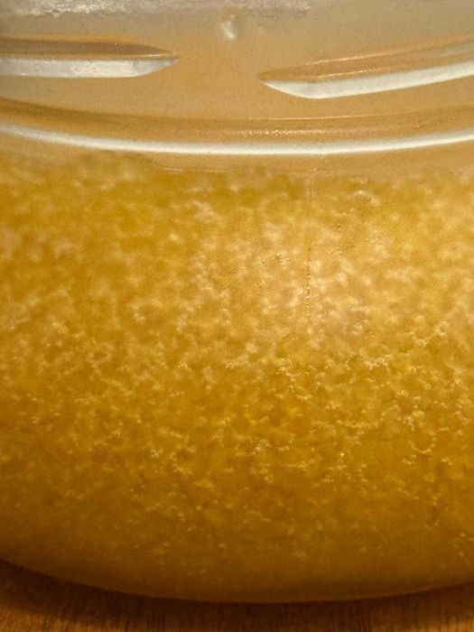 Шортан уылдырығы. Икра щуки.