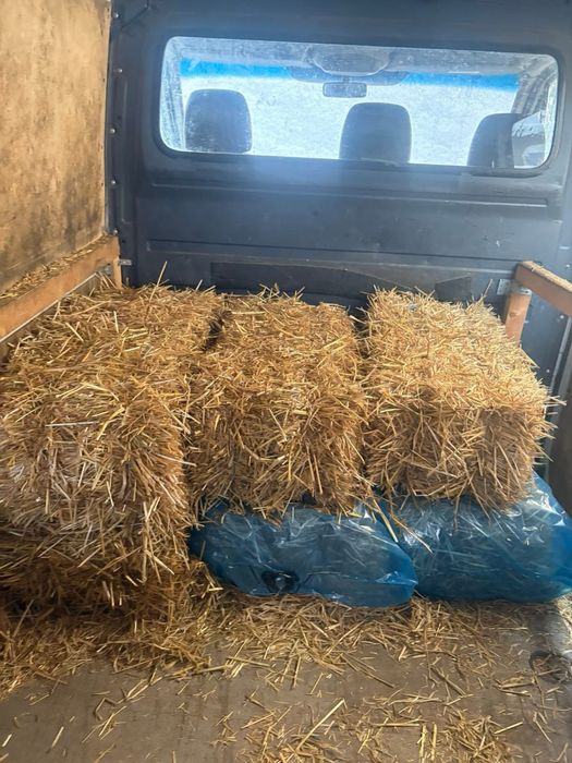 Baloti de paie de vanzare