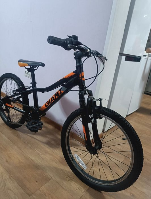 giant, trek Merida author centurion