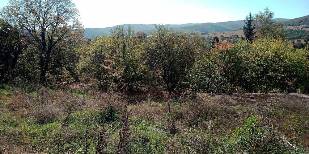 Продава се Парцел в с. Борика, Област София-област - 850 кв.м за 36 €/кв.м - Снимка #1