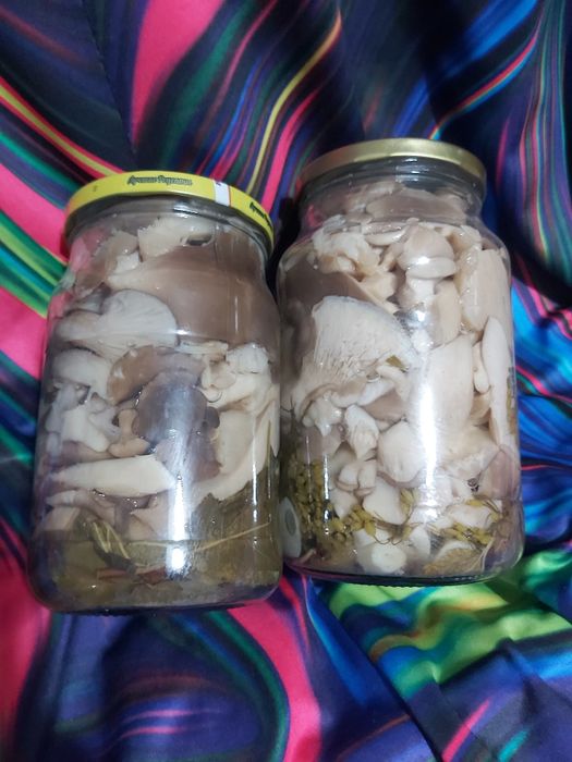 Грибы маринованные и солёные.